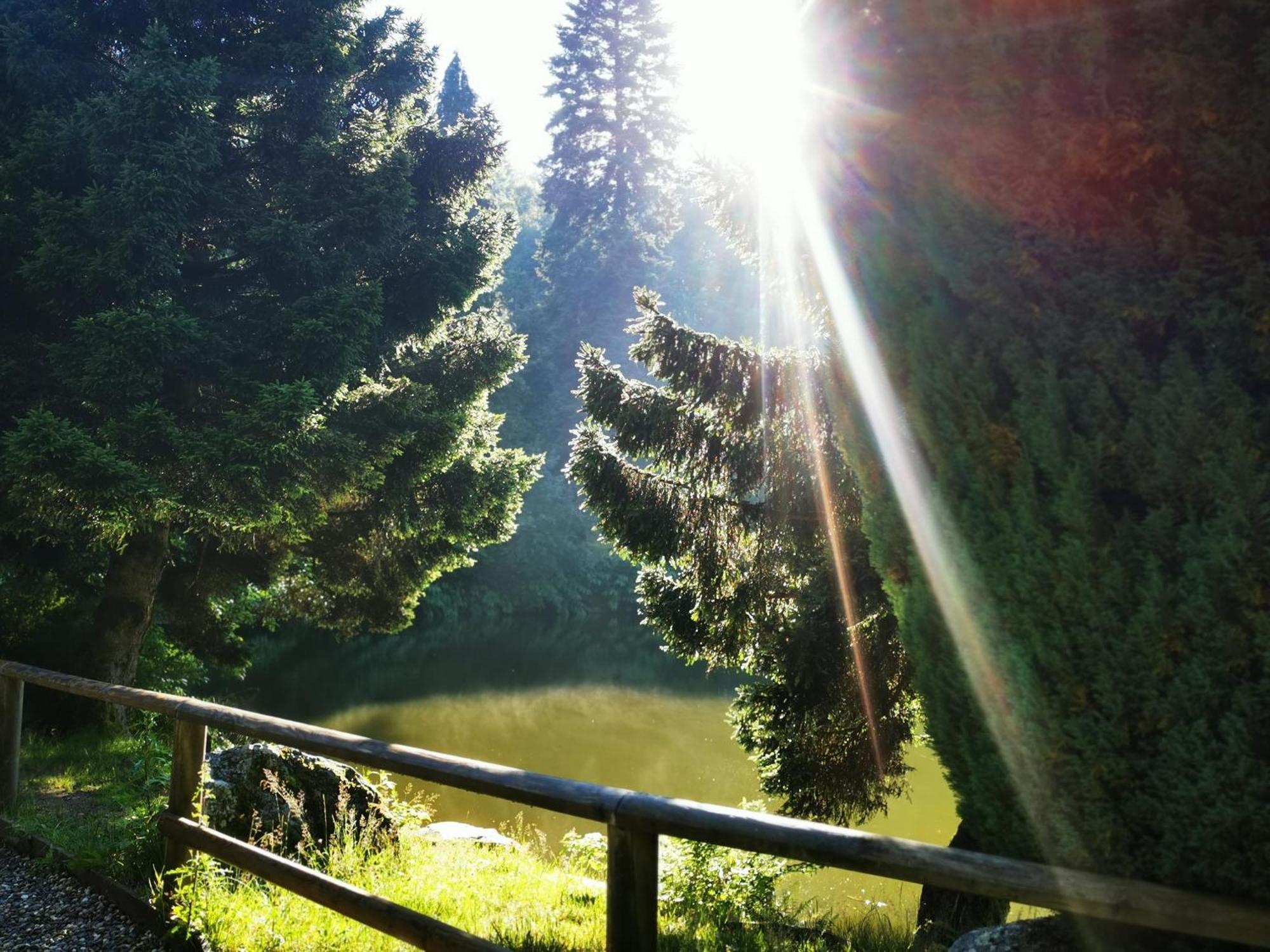 Miuti Residence Triberg im Schwarzwald Esterno foto