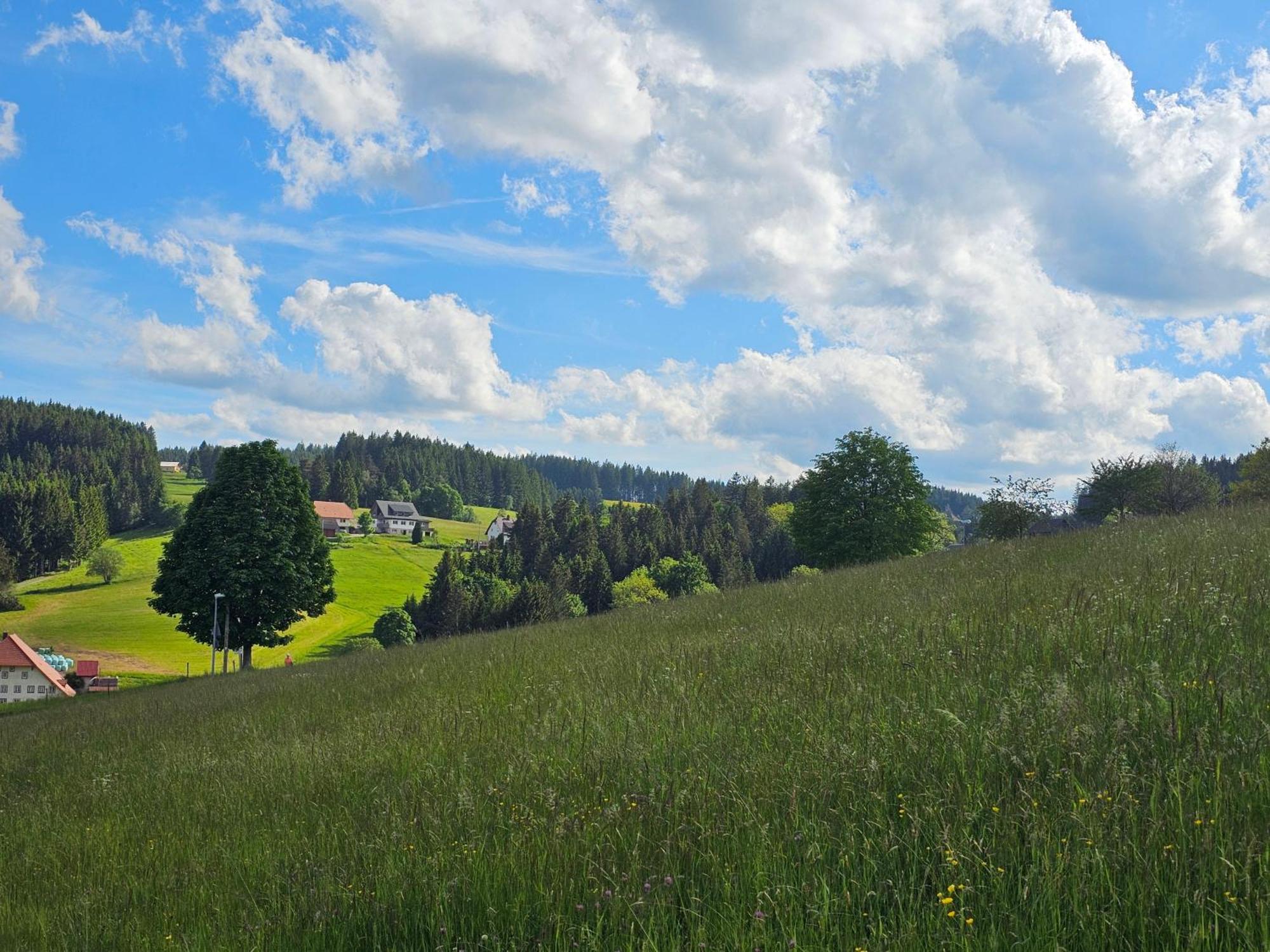 Miuti Residence Triberg im Schwarzwald Esterno foto