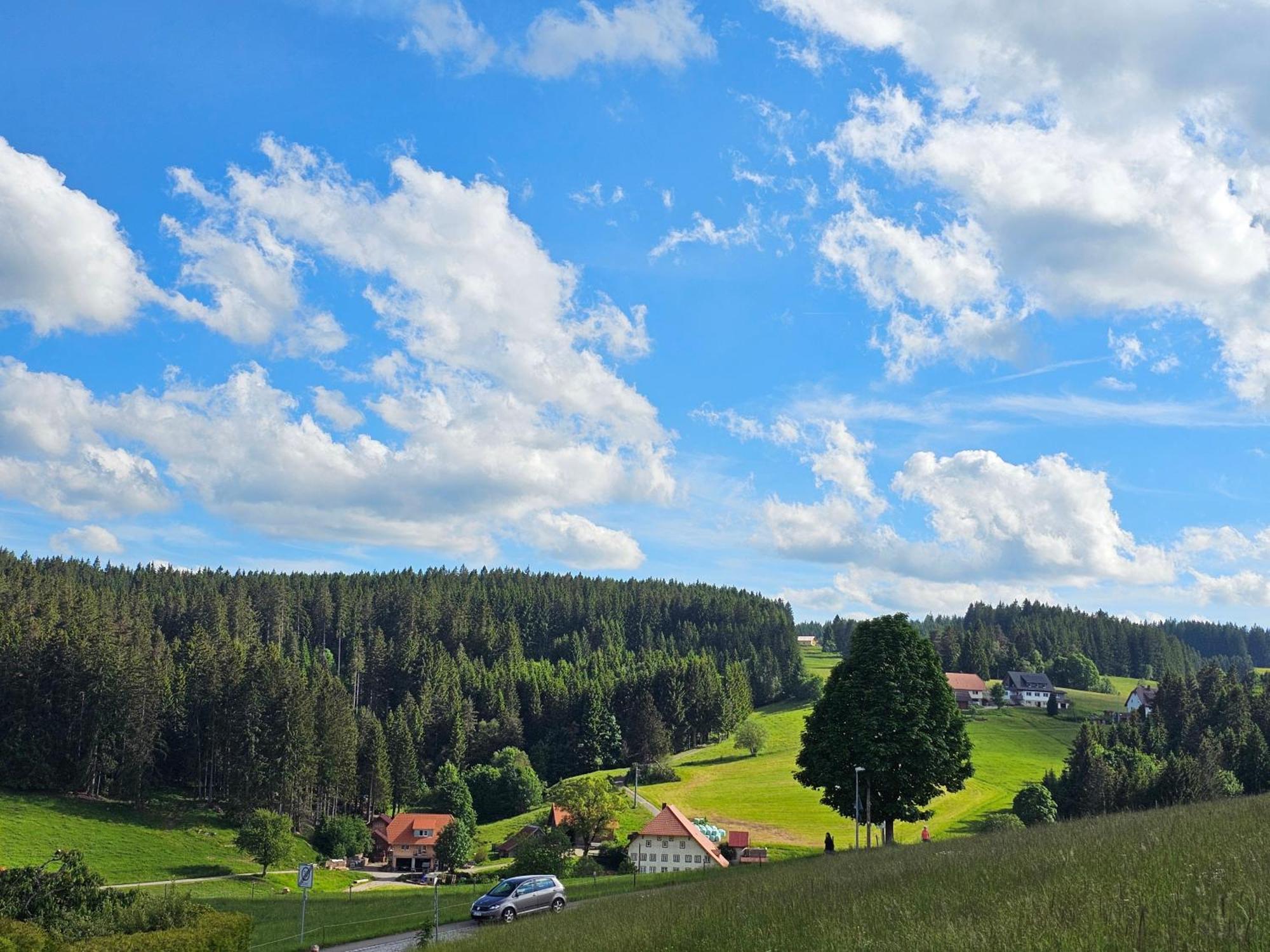 Miuti Residence Triberg im Schwarzwald Esterno foto